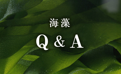 海藻Q&A